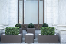 Big Gray, Metal Planters With Foliage Plants And Terrace Design