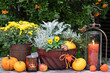 Garten-Dekoration mit Herbstblumen, Kürbissen und Laterne