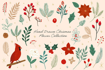 hand drawn winter botanical elements02. leaves, flowers, and bird. set of natural cut out vector illustration.