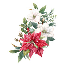 Beautiful Floral Christmas Composition With Hand Drawn Watercolor Winter Flowers Such As Red Poinsettia Holly. Stock 2022 Winter Illustration.