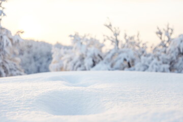 snow close up on the background of trees on a sunny winter day 