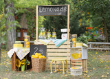 Fototapeta Koty - Wooden lemonade stand in park