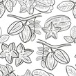 Carambola seamless pattern. Background with whole fruits, star slices and leaves. Sketch, hand drawing exotic tropical food. Vintage Template for wallpaper and packaging, vector illustration.