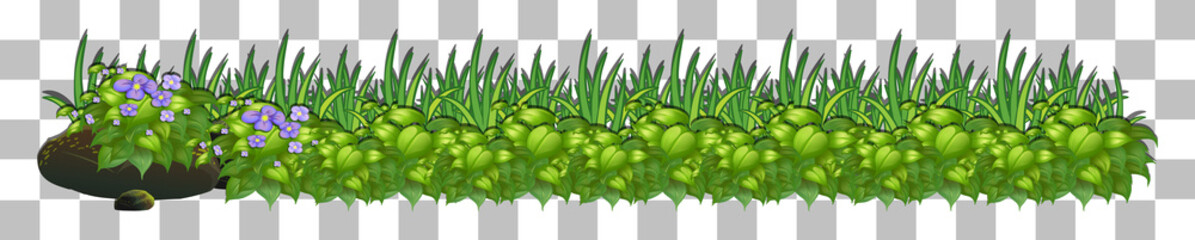 Poster - Grass and plants on transparent background for decor