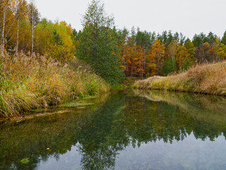 Wall Mural - Autumn forest trees are reflected in the river. River in autumn forest. Forest river in autumn