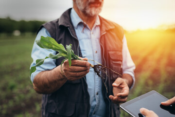 farmers talking outdoor in corn field. close up shoot