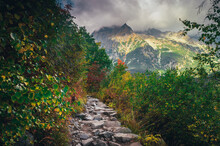 Autumn In High Tatras, Turistic Trail, Mountains In Background. Colorful Nature
