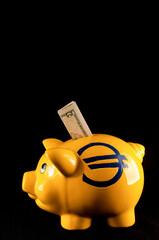 Wall Mural - Vertical shot of a yellow pig cashbox with a euro sign and a 2 dollar banknote on a black background