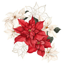 Watercolor Illustration With Red, White And Graphic Poinsettia, Isolated On White Background
