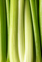 Close Up Shot Of Bright Green Celery Stalks In A Vertical Pattern