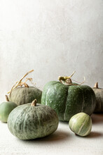 A Variety Of Green Winter Squash Shot In Front Of A Neutral Background
