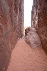 Wall Mural - landscape on arches national park in the united states of america