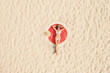 © New Africa - Woman sunbathing on round beach towel at sandy coast, aerial view