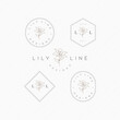 © Zdson - Lily Line logo
