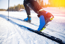 Cross Country Skiing Banner, Winter Sport On Snowy Track, Sunset Background