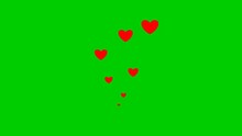 Animated Red Hearts Fly From Bottom To Top. Concept Of Love, Passion. Fountain From Hearts Isolated On Green Background.