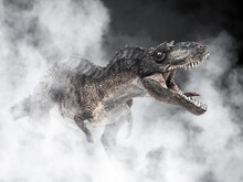 Gorgosaurus Dinosaur On Smoke Background