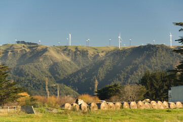 Wind Farm in New Zealand