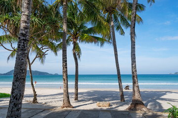 Phuket patong beach Summer beach with palms trees around in Patong beach Phuket island Thailand, Beautiful tropical beach with blue sky background in summer season Copy space