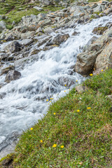 Canvas Print - Waterfall and wildflowers on a meadow