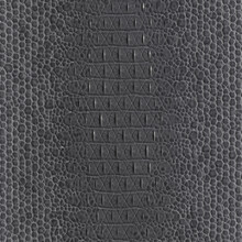 Genuine Caiman Leather. Gray Crocodile Skin Texture For Background. 3D-rendering