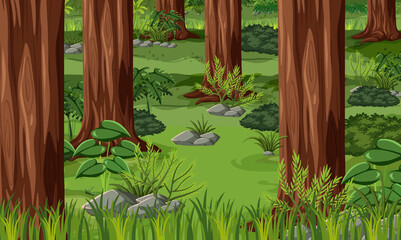 Sticker - Tropical forest landscape background