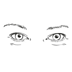 Wall Mural - Hand drawn beautiful eyes isolated on white background, Vector illustration