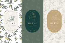 Vector Set Labels With Olive Branch - Simple Linear Style. Emblems Composition With Olives And Typography. Seamless Pattern.