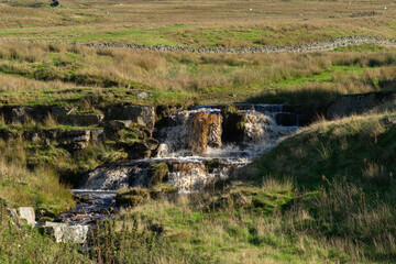 Wall Mural - Moorland stream in Northumberland, UK