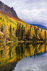 Wall Mural - Scenic view of autumn coniferous trees reflecting on the lake water surface