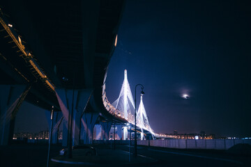 Sticker - Beautiful lights of the city buildings and bridge at night