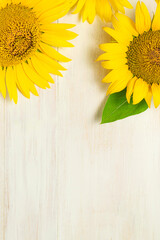 Fotomurales - Yellow sunflowers on white wooden background top view copy space. Beautiful fresh sunflowers, yellow flowers bouquet. Harvest time, farming, Agriculture, autumn or summer floral background