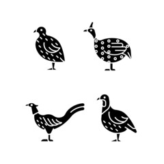 Wall Mural - Landfowl black glyph icons set on white space. Japanese quail. Pheasant family. Guinea fowl. Domesticated birds. Commercial poultry farming. Silhouette symbols. Vector isolated illustration