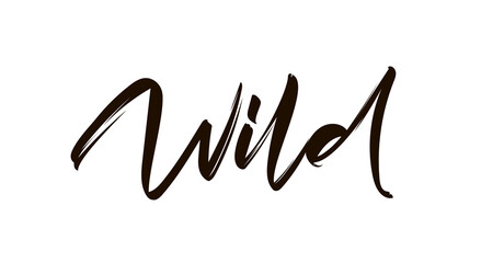 Vector illustration. Hand drawn brush type calligraphic lettering of Wild on white background.