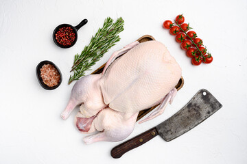 Wall Mural - Raw whole goose, poultry meat with herbs, on white stone table background, top view flat lay