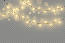 Christmas Lights Isolated On Transparent Background. Vector Illustration.
