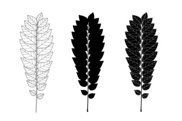 Wall Mural - Star gooseberry leaf pattern graphic on white background.