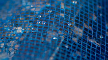 Background  Water Droplets On The Blue Net
