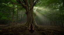 Woman Doing Yoga And Meditation In The Forest