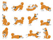 Cartoon akita dog daily routine, puppy pet walking, sleeping and howling. Domestic pet tricks, cute akita animal actions vector illustration set. Adorable akita breed dog