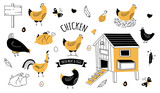Fototapeta Łazienka - chicken farm organic eggs and meat icon set