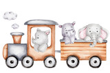 Fototapeta Dziecięca - Cartoon train with rhinoceros, hippopotamus and elephant; watercolor hand drawn illustration; with white isolated background