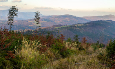 Wall Mural - autumn morning in the mountains, Silesian Beskid, Poland