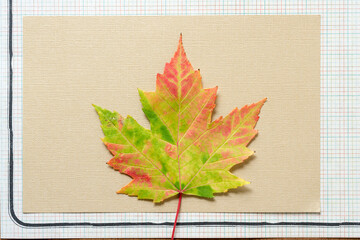 Poster - autumn leaf on a sheet of paper