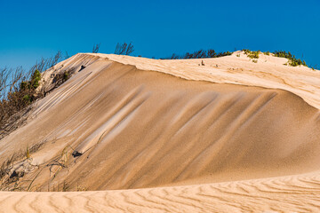  Rippled sand dunes at the Donnelly river mouth beach at Pemberton WA