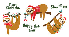 Cute Sloth Vector Graphic Design Set For Christmas Holiday. Merry Christmas Prints. Adorable Hand Drawn Sloth Characters On Tree Branches Wearing Santa Claus Hats Or Wrapped In Christmas Lights
