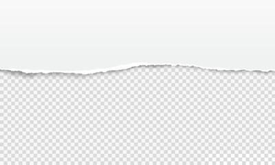Poster - Ripped paper edge, white torn page strip. Realistic horizontal ragged notebook sheet, tattered papers edge on transparent vector background. Damaged page border, scrapbooking element
