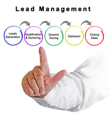 Canvas Print - Five Components of  Lead Management