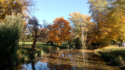  Autumn trees reflected in water. Scenic golden autumn in the park. Beautiful autumn landscape in the morning. 