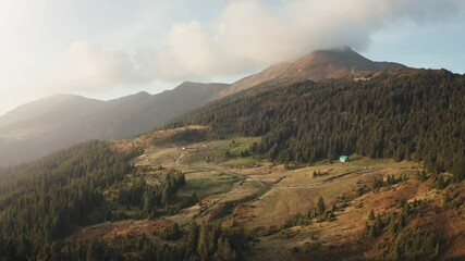 Wall Mural - Alpine mountain countryside landscape. Aerial highlands rural road, pine tree forest, meadows, mount range peak, blue sky. Nature background. Travel destinations. Beautiful wild scene. Summer vacation